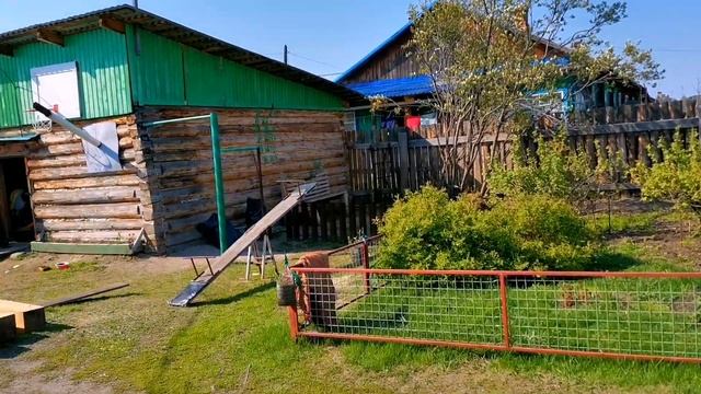 Всегда Меня ПУГАЕТ/Высадила Цветы/Привезли БРУС/Будем ли САЖАТЬ КАРТОШКУ!? Вкусный УЖИН ?23.05.21 смотреть онлайн