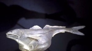 Марианская впадина. Глубоководные рыбы. Погружение батискафа на дно Марианской впадины.