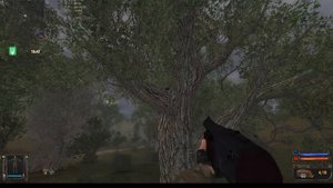 S.T.A.L.K.E.R. Золотой шар. Завершение. Как достать рюкзак на дереве, на Окраине зоны.