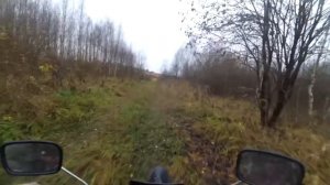 Иж Планета 5 на резине л-275 поездка через леса поля и болота