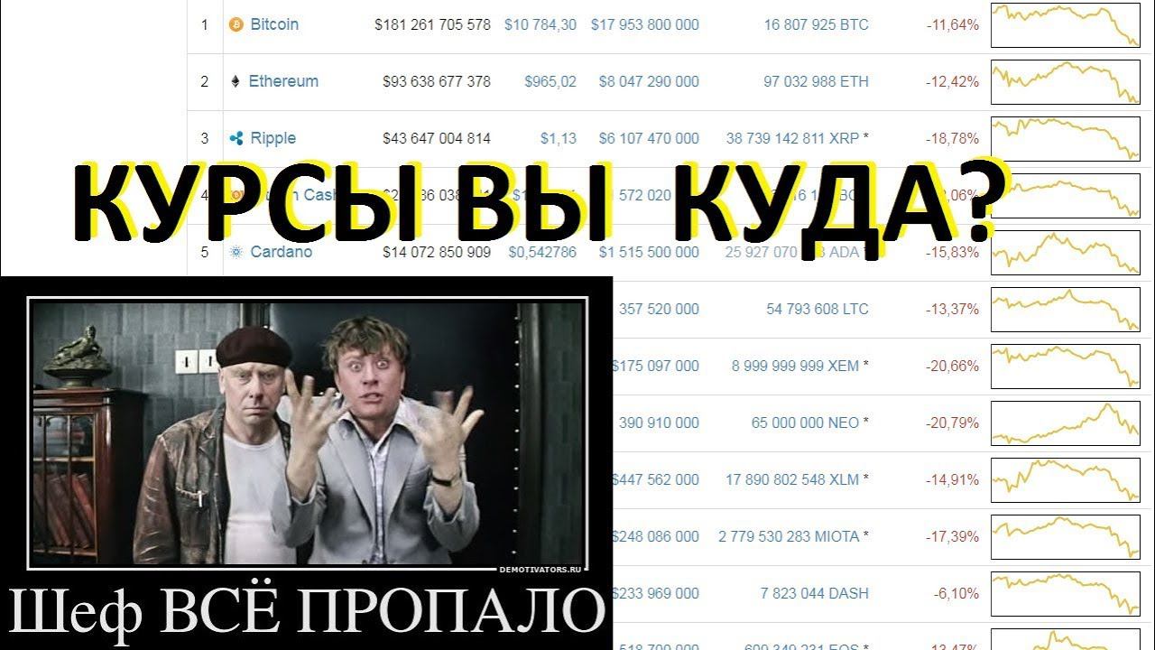 КУРСЫ ВЫ КУДА? Что делать? Что происходит? смотреть онлайн