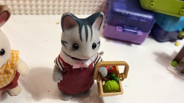 Идём в  супермаркет ?  Серия 10 Sylvanian Families 5052 Владельцы супермаркета - Supermarket owners