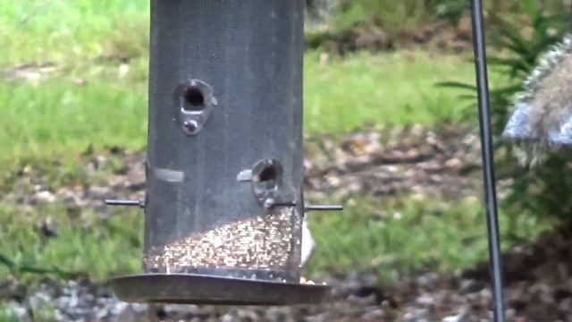 SONY HANDYCAM HDR-CX405. Testing Zoom & Review in 2023. смотреть онлайн