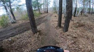 ПОКАТУШКА НА СКУТЕРЕ ПО ЛЕСУ ИЛИ ОФФРОАД НА СКУТЕРЕ
