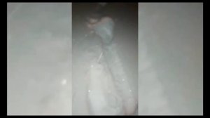 ?СНЕЖНЫЙ ЧЕЛОВЕК ! РЕАЛЬНЫЕ КАДРЫ ! Он существует!