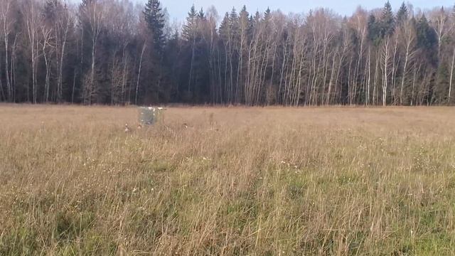 ЗЕРКАЛЬНЫЙ СКРАДОК ДЛЯ ОХОТЫ НА ГУСЯ. КАК РАБОТАЕТ В ОВСЕ. ЗЕРКАЛЬНЫЙ СКРАДОК СВОИМИ РУКАМИ. смотреть онлайн