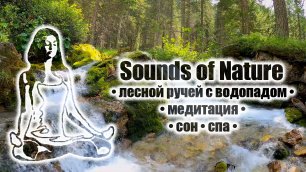 Лесной ручей с водопадом • медитация • сон • спа • Sounds of Nature