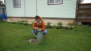 Как вырастить вишню своими руками. Вишня саженцы