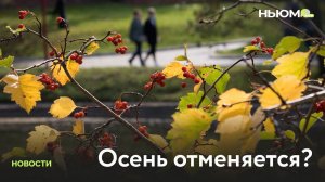 Осень отменяется: сколько еще продлится бабье лето?