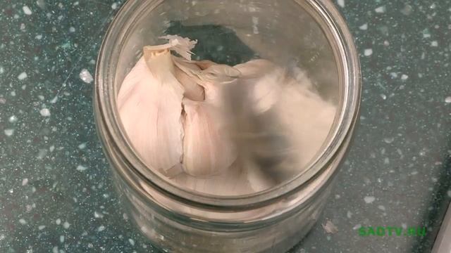 12 способов хранения чеснока смотреть онлайн