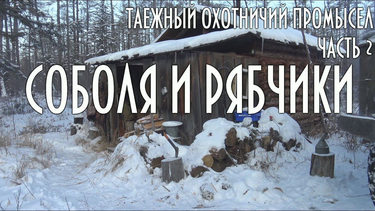 Соболя и рябчики, таежная добыча, таежный промысел, тайга Часть 2