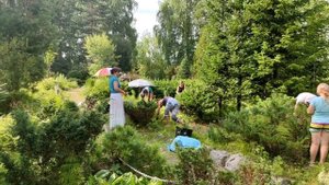 Волонтёрская саранча на прополке Бонсай парка в Ботаническом Саду Новосибирского Академгородка