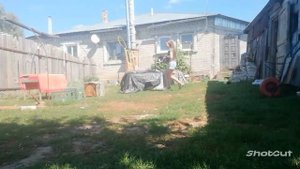 Хоббихорсинг / выездковая тренировка