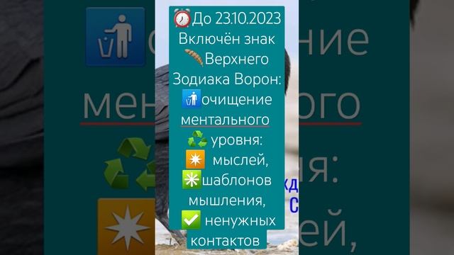 ❗И до 22.1².2023 ✅избавляйтесь от ненужной информации, связей, людей и точек зрения