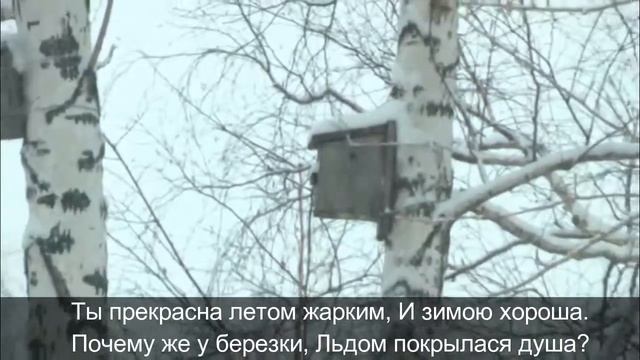 Стихотворение "Берёзка" Автор Тишкин Александр Валерьевич