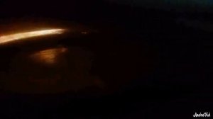 Клетки кожи под микроскопом