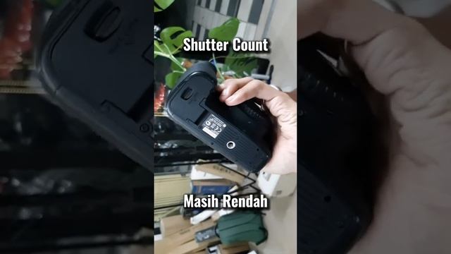 Canon eos 6D Turun Harga #short смотреть онлайн