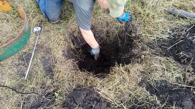 Посадка саженца винограда весной на ПМЖ смотреть онлайн