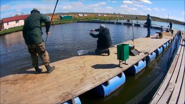 ПОИМКИ ФОРЕЛИ И ОСЕТРА В Клёвом месте д. Савельво смотреть онлайн