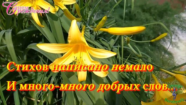 С Днем Рождения в июне  Красивая музыкальная видео открытка