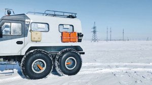 Ямальский проходимец