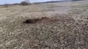 ?НОРА + МОЩНАЯ Петарда. ТОП 10 Петард В Норе Крота. Взорвали Огромную Нору КРОТА.