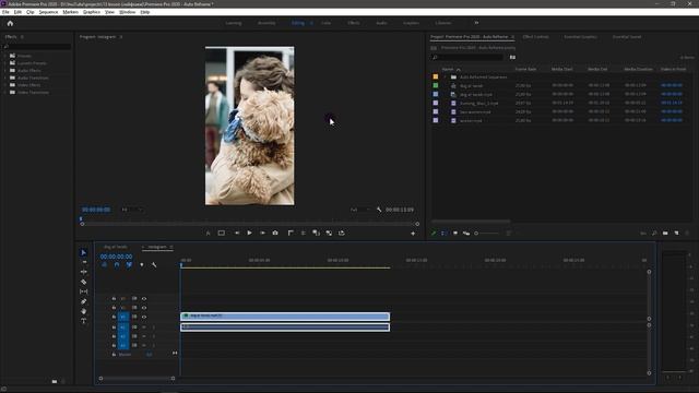 Auto Reframe Adobe Premiere Pro 2020 | Instagram Story?