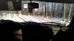 На ниве по зимнему лесу.