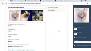 Как в GetCourse задать отображение списка тренингов в виде плитки