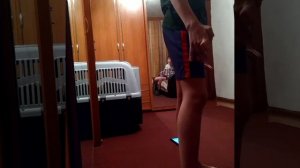 Разбил планшет....... ПРАНК