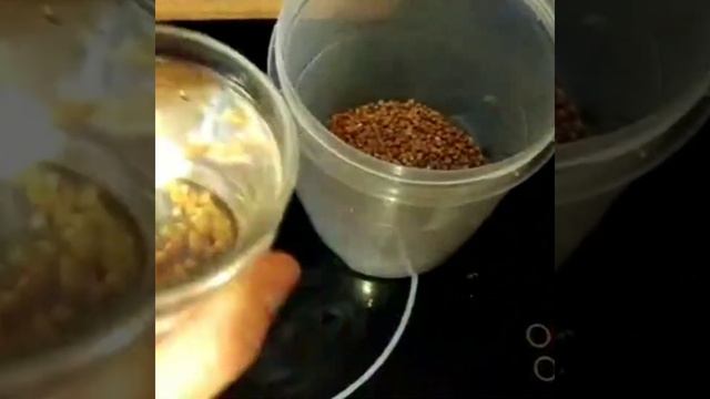 Как варить гречу без воды смотреть онлайн