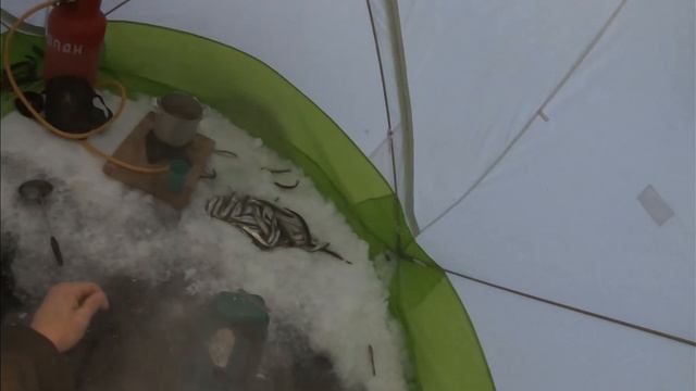 Путешествие в Мурманскую область. Рыбалка в Апатитах. Ловля корюшки. смотреть онлайн