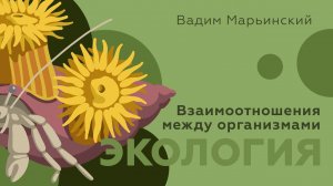 Насколько важен симбиоз? Экология: Взаимоотношения между организмами. Естествознание 7.4