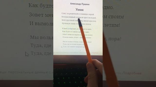 Узник-Пушкин в исполнение Копатыча.