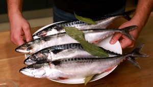 Солим скумбрию. Крутой рецепт от тещи.