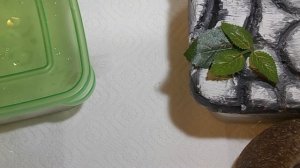 Пятнистые ЭУБЛЕФАРЫ  / СОДЕРЖАНИЕ