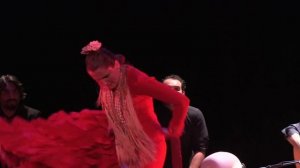 ECHALE' PAPA - Spectacle Flamenco de Yurentz Bermudez