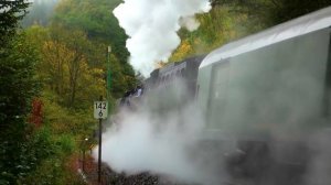 Учим поезда для детей. Викторина угадай поезд