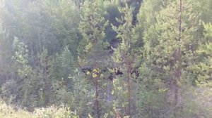 На автодоме на Север часть 3