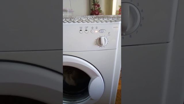 Машинка INDESIT WIUN 100 после 10 мин стирки замигали кнопки...