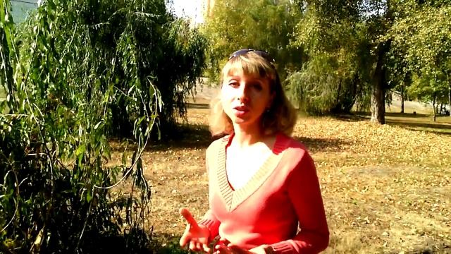 СОВМЕСТНЫЙ СОН С РЕБЕНКОМ - ДО КАКОГО ВОЗРАСТА? РЕБЕНОК СПИТ С МАМОЙ. ПРИВЯЗАННОСТЬ К МАМЕ