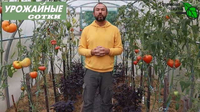 НИ В КОЕНМ СЛУЧАЕ НЕ ИСПОЛЬЗУЙТЕ ЭТИ СРЕДСТВА ДЛЯ МОЙКИ и ДЕЗИНФЕКЦИИ ТЕПЛИЦЫ!