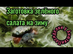 Заготовка листового зелёного салата на зиму!Заморозка!