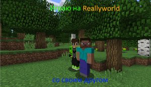 Я играю на Reallyworld со своим другом.