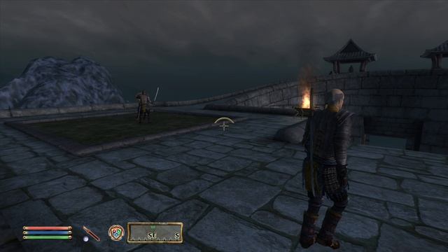 TES IV: Oblivion - прохождение - #10