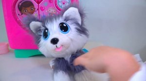 Настя и её новые игрушечные собачки с блохами