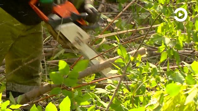 В Пензе начали обустраивать смотровую площадку на Западной поляне смотреть онлайн