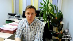 Что делать, если клопы остались после обработки