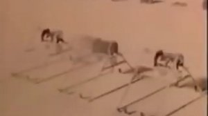 Как на самом деле бомбили Херосиму. Шок!!!