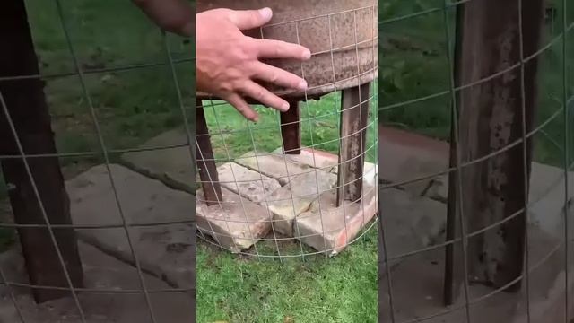 Как вам такая идея? смотреть онлайн